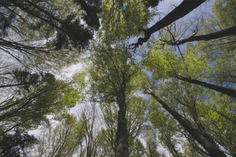 Schone lucht, natuurlijk voor elkaar!