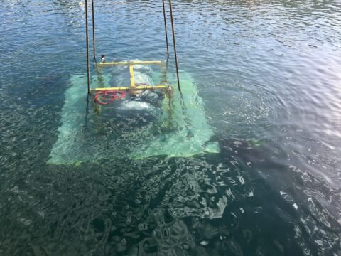 FLASC en Subsea 7 werken aan energieopslagsysteem voor offshore zonder accu’s