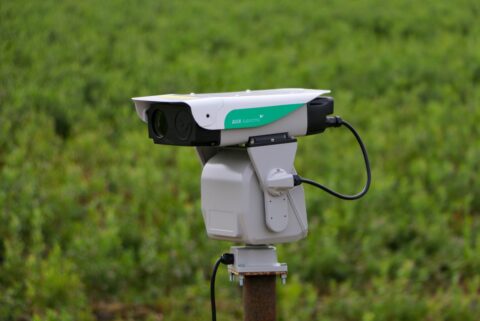 Lasertechnologie voorkomt gewasschade en vogelgriep