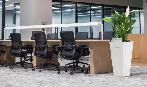 Zuivere lucht dankzij innovatieve plantenpot