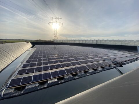 Duurzaam rendement voor glastuinbouw dankzij waterbassin en zonne-energie
