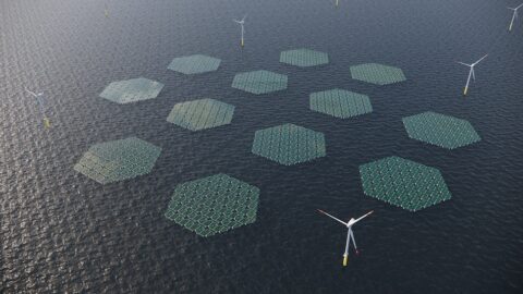 RWE investeert in pilot met drijvend zonnepark van SolarDuck