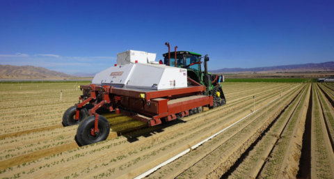 LaserWeeder verwijdert onkruid zonder bestrijdingsmiddelen