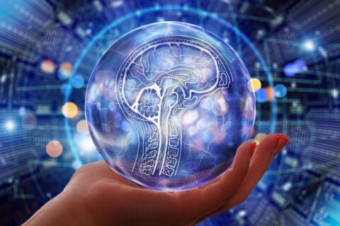 AI-tool maakt snelle en nauwkeurige meting van levertumoren mogelijk