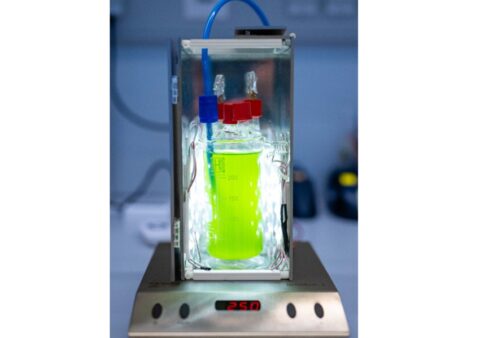 Biobeton en biogene bouwmaterialenmet cyanobacteriën
