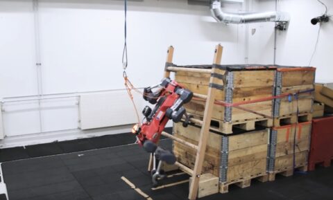 Onderzoekers laten vierpotige robot ladder beklimmen
