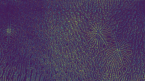 Spinnend, draaiend licht zou de volgende generatie elektronica kunnen aandrijven