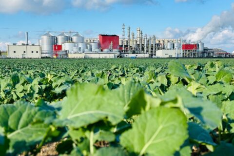 Onderzoek naar rendabel produceren van biomethanol uit restafval