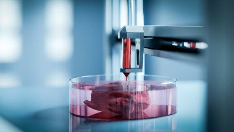 Nieuw soort 3D-bioprinter kijkt mee en past waar nodig het ontwerp aan