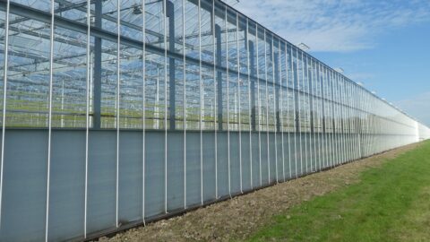 Nieuw lichtmeetprotocol voor LED biedt telers, adviseurs en fabrikanten houvast