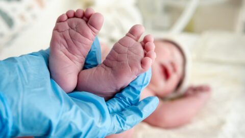 Robot moet bereiding van moedermelk op neonatologie overnemen