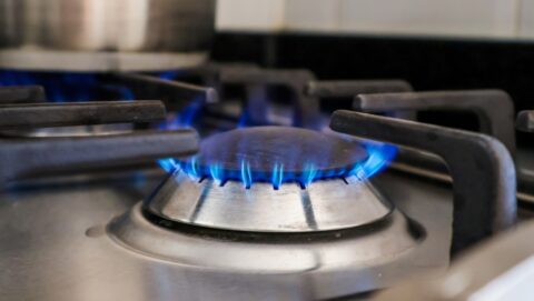 Nederlandse multifuel-cv-ketel moet overstap naar duurzame gassen vereenvoudigen