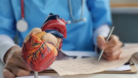 Biologische defibrillator herstelt hartritmestoornissen met biologische elektriciteit